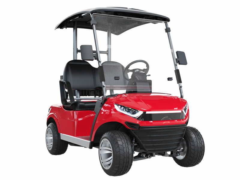 Carro de golf eléctrico para 2 pasajeros