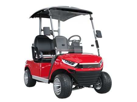 Carro de golf eléctrico para 2 pasajeros