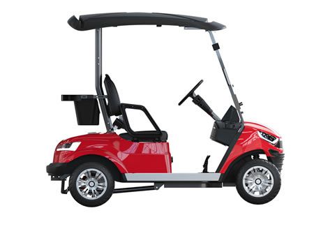 Carro de golf eléctrico para 2 pasajeros