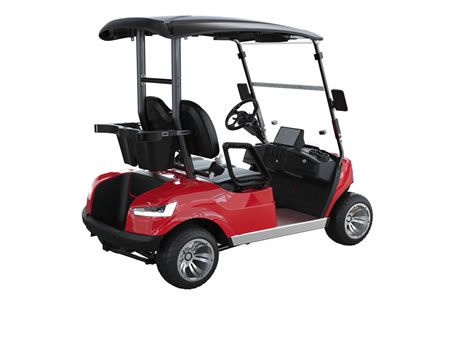 Carro de golf eléctrico para 2 pasajeros